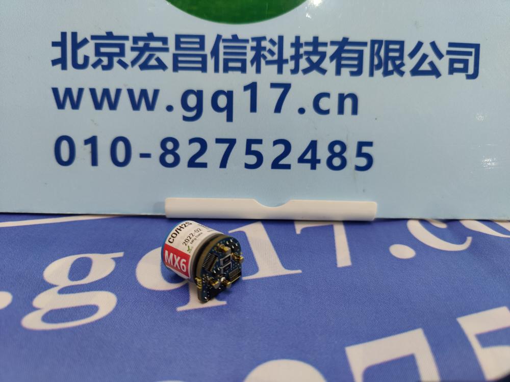 美國英思科 MX6 一氧化碳硫化氫二合一傳感器(CO/H2S)  